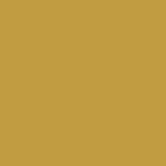 NCS-couleur-indie-1